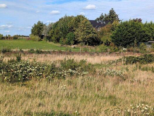 Grundstück zum Kauf 139.500 € 480 m² Grundstück Wickendorf Schwerin-Wickendorf 19055