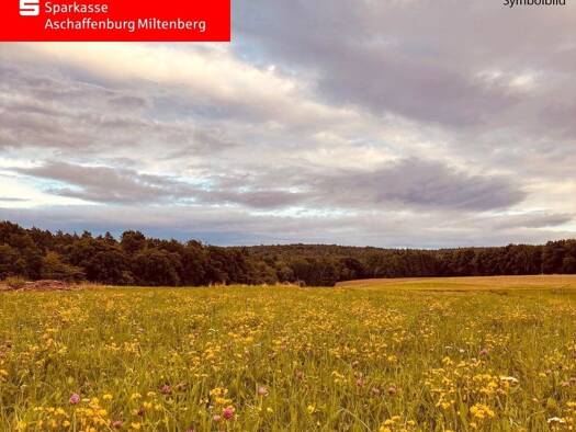 Grundstück zum Kauf 286.000 € 520 m² Grundstück Hösbach 63768