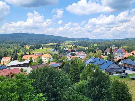 Wohnung zum Kauf 62.000 € 2 Zimmer 55 m² Geschoss 3/3 frei ab sofort Haidmühle 94145