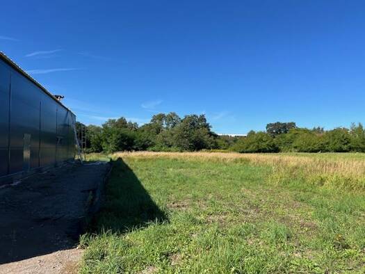 Grundstück zum Kauf 325.000 € 1.448 m² Grundstück Baugenehmigung vorhanden Stadtmitte Rostock 18055