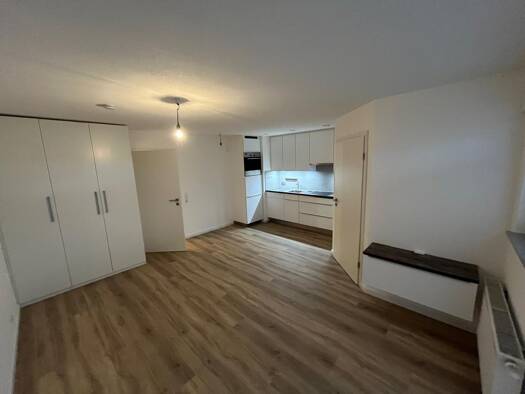 Wohnung zur Miete 770 € 2 Zimmer 34 m² Geschoss EG/1 frei ab sofort Salzert Lörrach 79540