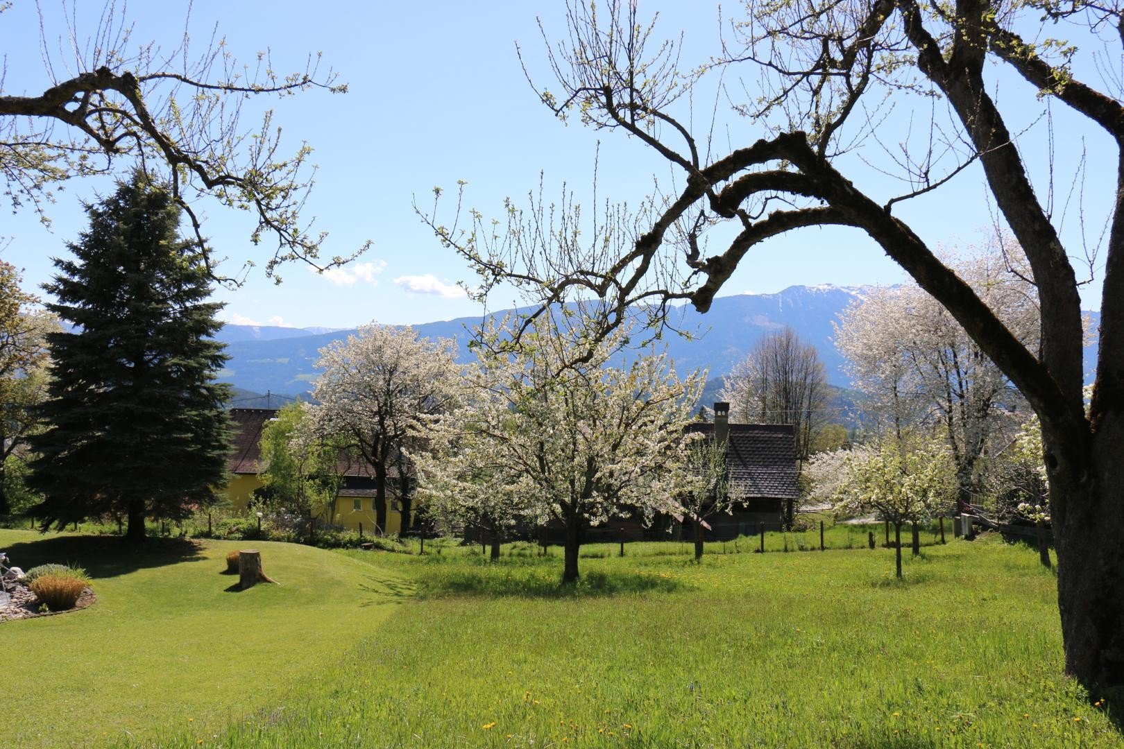 Grundstück zum Kauf 225.000 € 945 m²<br/>Grundstück Obermillstatt 9872