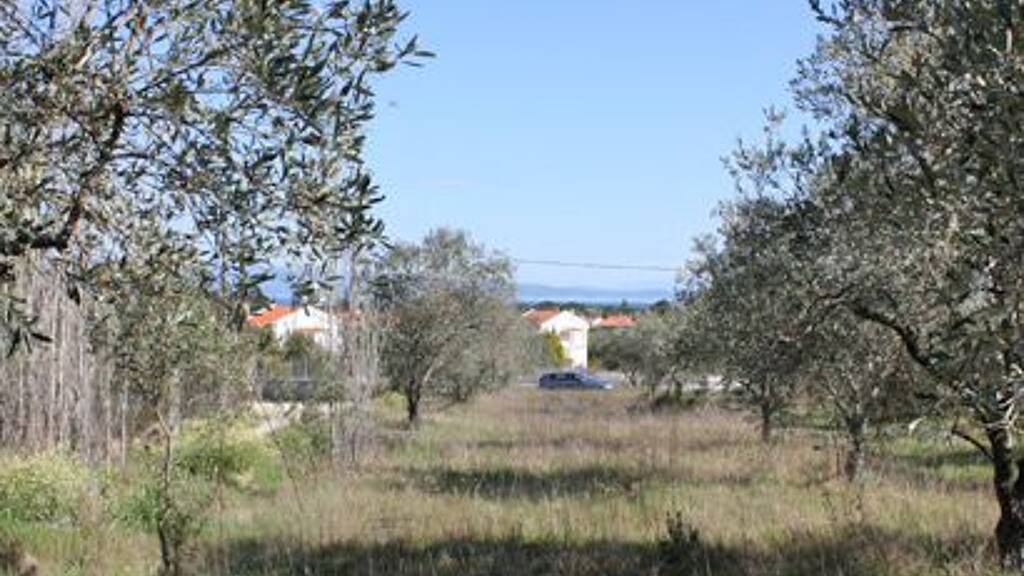 Land-/Forstwirtschaft zum Kauf 700.000 € 17.643 m² Grundstück Chalkidiki