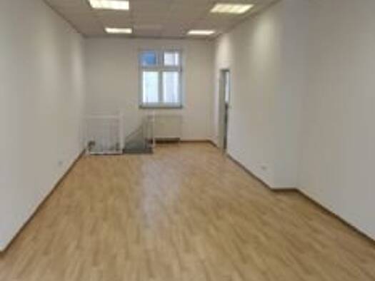 Ladenfläche zur Miete provisionsfrei 300 € 65 m² Verkaufsfläche Steinach 96523