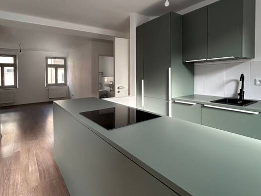 Wohnung zur Miete 980 € 3 Zimmer 70 m² Geschoss 1/4 frei ab sofort Äußere Großweidenmühlstraße 9 St Johannis Nürnberg 90419