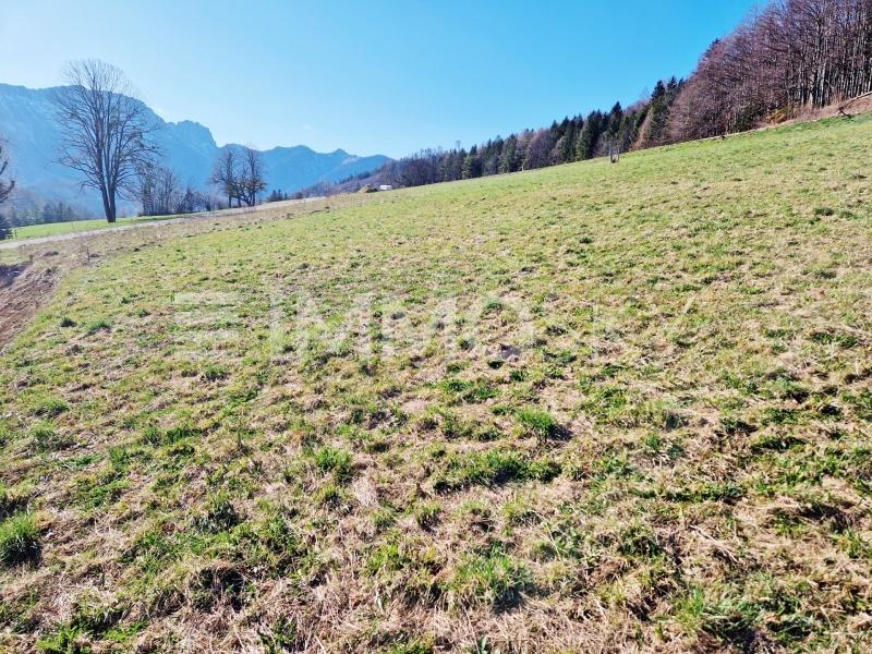 Grundstück zum Kauf 149.900 € 799 m²<br/>Grundstück Micheldorf in Oberösterreich 4563