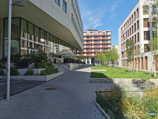 Büro zur Miete 17 € Liesing 1230