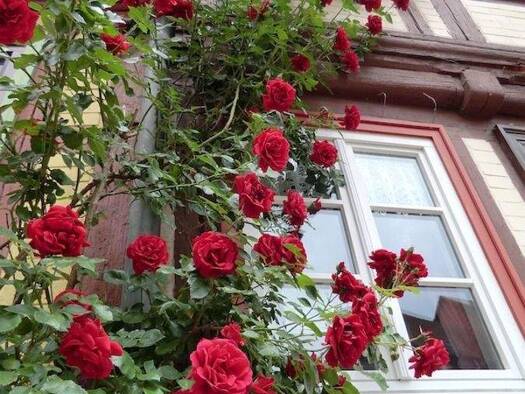 Reihenmittelhaus zum Kauf 199.000 € 4 Zimmer 150 m² 80 m² Grundstück Halberstadt 38820