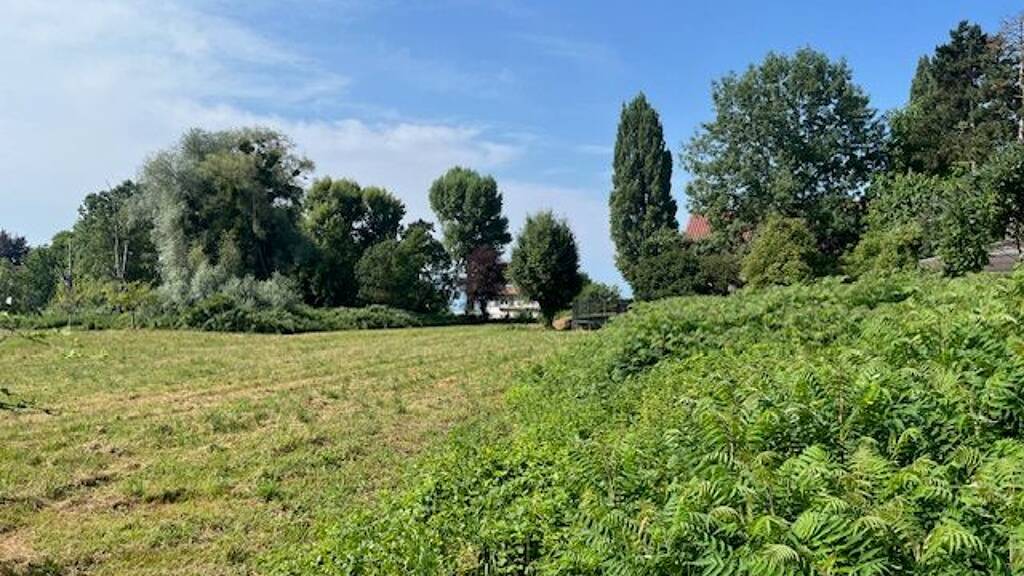 Grundstück zum Kauf 1.797 m² Grundstück frei ab sofort Langenargen 88085