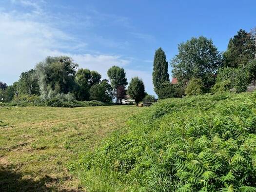 Grundstück zum Kauf 599 m² Grundstück frei ab sofort Langenargen Langenargen 88085