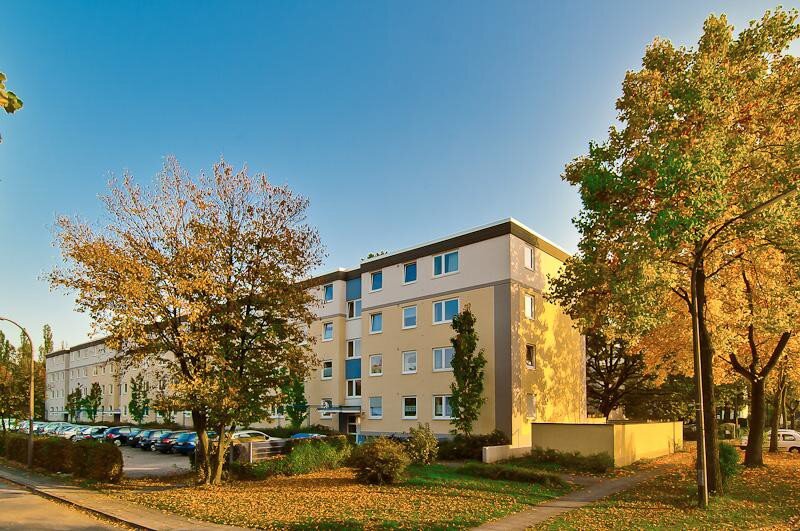 Wohnung zur Miete 819,46 € 3 Zimmer 81,6 m²<br/>Wohnfläche 2.<br/>Geschoss 21.10.2024<br/>Verfügbarkeit Tulpenbaumweg 11 Heiderhof Bonn 53177