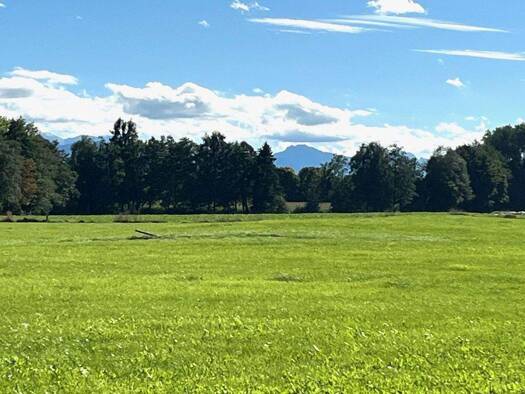 Grundstück zum Kauf provisionsfrei 422 m² Grundstück Peiting 86971