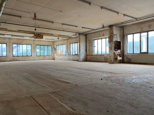 Lagerhalle zur Miete provisionsfrei 800 € 320 m² Lagerfläche Lieg 56290