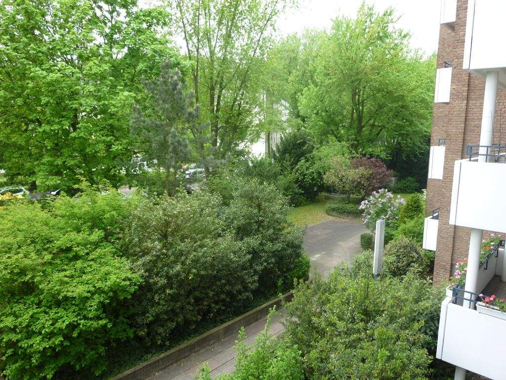 Property thumbnail 14