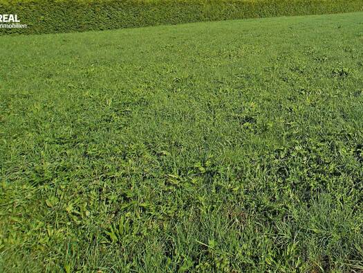 Grundstück zum Kauf 99.900 € 2.000 m² Grundstück Jennersdorf 8380