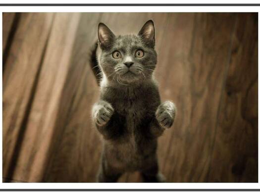 Terrassenwohnung zur Miete 643 € 2 Zimmer 56,5 m² 4. Geschoss frei ab sofort Groß-Berliner-Damm 27 Johannisthal Berlin 12487