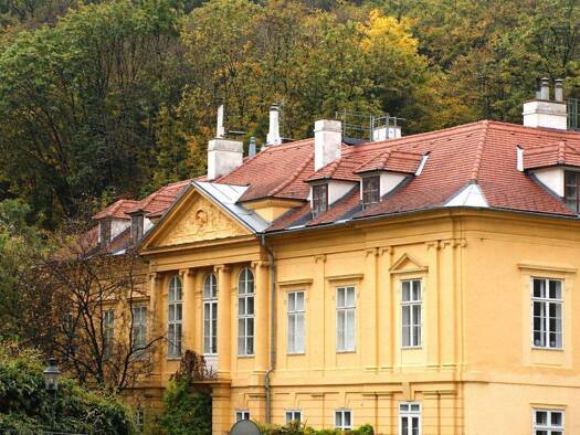 Wohnung zum Kauf 1.685.000 € 5 Zimmer 251,5 m² 1. Geschoss Zwillinggasse Wien 1190