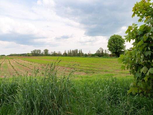 Penthouse zum Kauf - Neubau provisionsfrei 520.808 € 3 Zimmer 85,8 m² 3. Geschoss frei ab sofort Volkacher Straße Großgründlach Nürnberg 90427