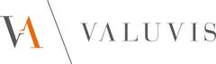 Valuvis GmbH logo
