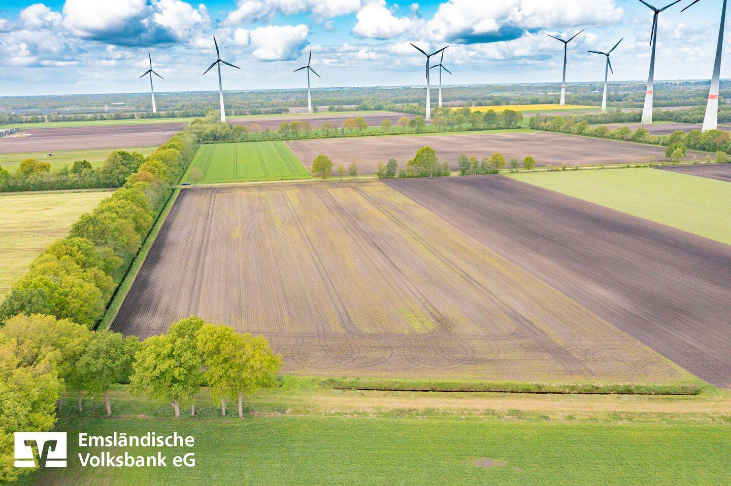 Land-/Forstwirtschaft zum Kauf - Ansicht 3