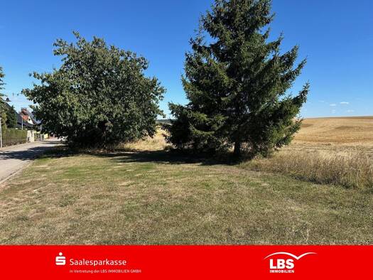 Grundstück zum Kauf 35.250 € 705 m² Grundstück frei ab sofort Lodersleben Querfurt 06268