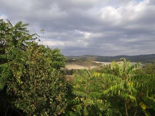 Einfamilienhaus zum Kauf 700.000 € 1 Zimmer 780 m² 10.000 m² Grundstück Bucine 52021