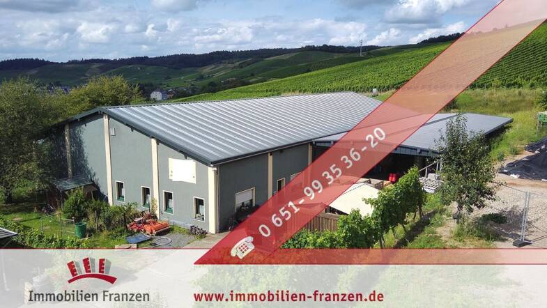 Haus zum Kauf 1.390.000 € 173 m² 2.996 m² Grundstück Krettnach Konz / Krettnach 54329