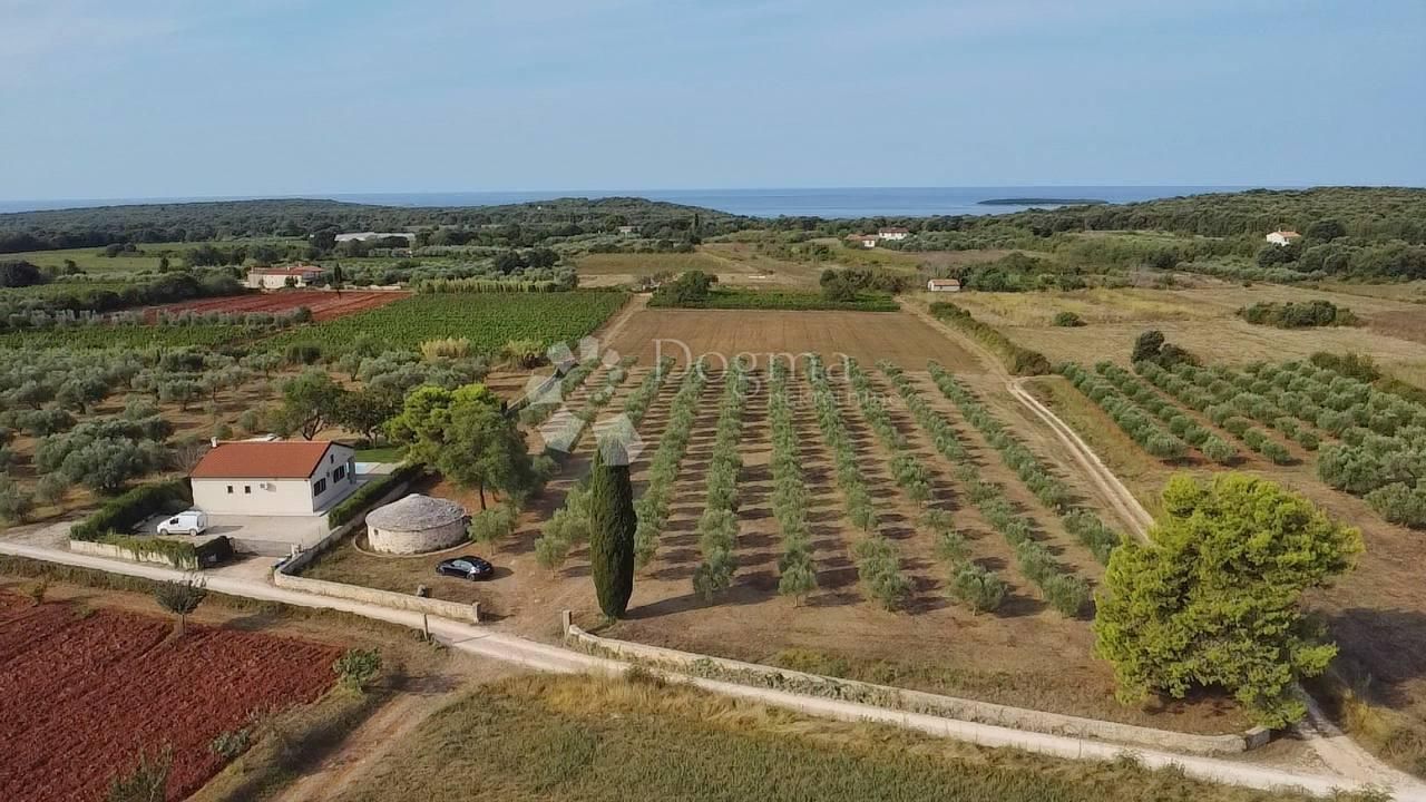 Land-/Forstwirtschaft zum Kauf 730.000 € Rovinj center 52210