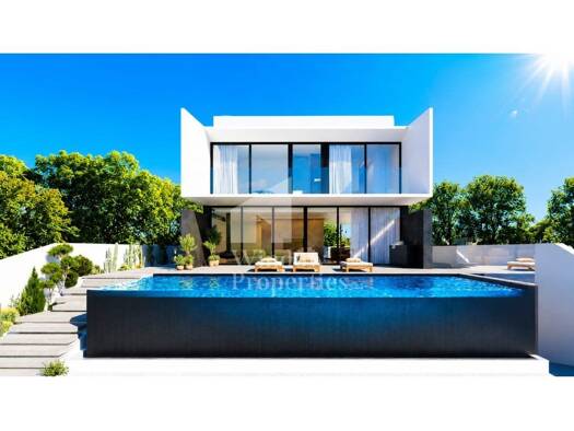 Haus zum Kauf 1.550.000 € 220 m² 387 m² Grundstück Montenegro 8005
