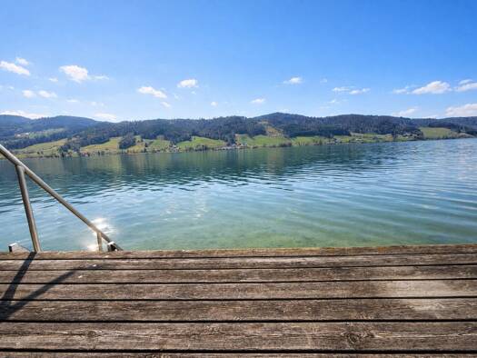 Wohnung zum Kauf 590.000 € 4 Zimmer 117,7 m² EG Zell am Moos 4893