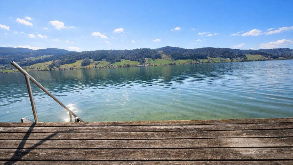 Wohnung zum Kauf 590.000 € 4 Zimmer 117,7 m² EG Zell am Moos 4893