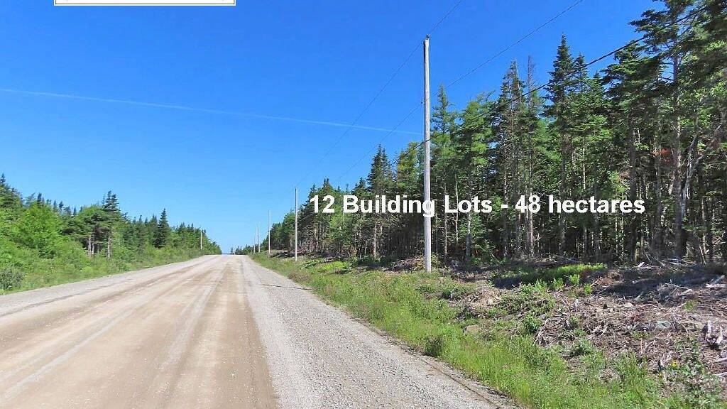 Grundstück zum Kauf 230.000 € 480.000 m² Grundstück Loch Lomond Road Big Pond 116