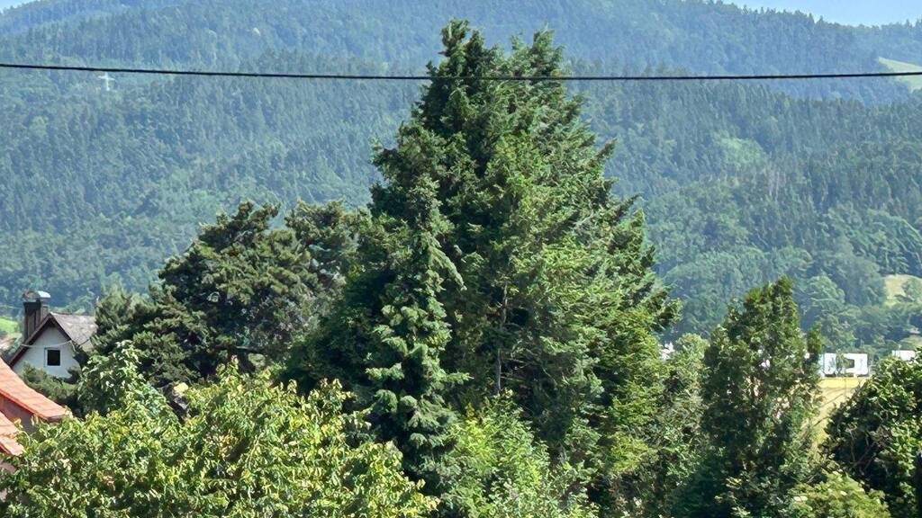 Wohnung zum Kauf - Neubau provisionsfrei 728.300 € 3 Zimmer 85,1 m² 1. Geschoss frei ab sofort Bundesstraße 27 Zarten Kirchzarten 79199