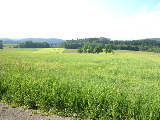Grundstück zum Kauf 225.400 € 980 m² Grundstück Feldkirchen in Kärnten 9560