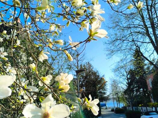 Terrassenwohnung zur Miete 1.500 € 4,5 Zimmer 98 m² 1. Geschoss Jahnstraße 1 Überlingen 88662