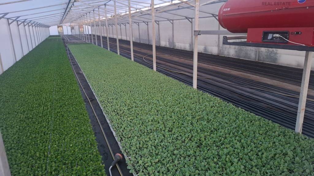 Land-/Forstwirtschaft zum Kauf 490.074 € Biograd na Moru