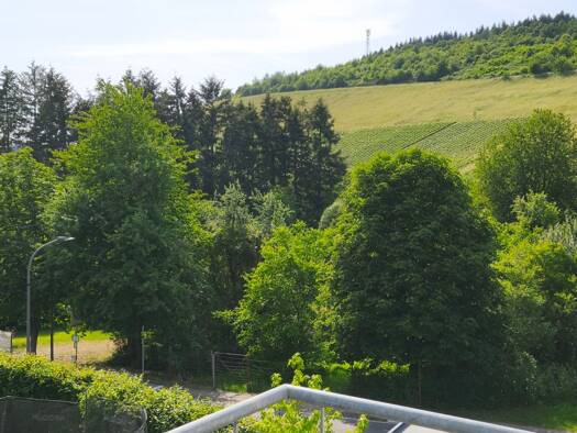 Wohnung zur Miete 720 € 3 Zimmer 77 m² frei ab 01.09.2026 Kasel 54317