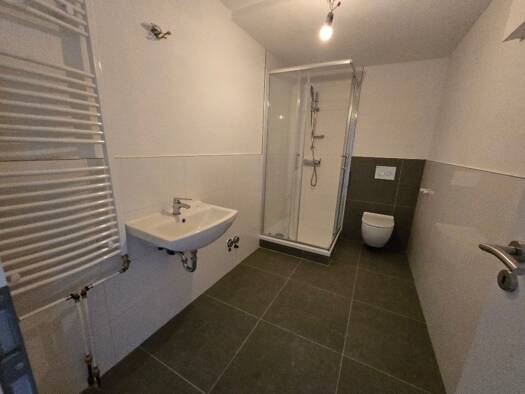 WG-Zimmer zur Miete auf Zeit 440 m² 3 Geschosse frei ab 01.01.2027 Wachenheim an der Weinstraße 67157