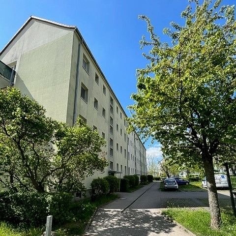 Wohnung zur Miete 341 € 3 Zimmer 59,8 m²<br/>Wohnfläche 1.<br/>Geschoss Am Hang 41 Pausitzer Delle Riesa 01589