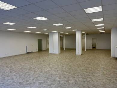 Ladenfläche zur Miete provisionsfrei 1.350 € 286 m² Verkaufsfläche Mainburg Mainburg 84048