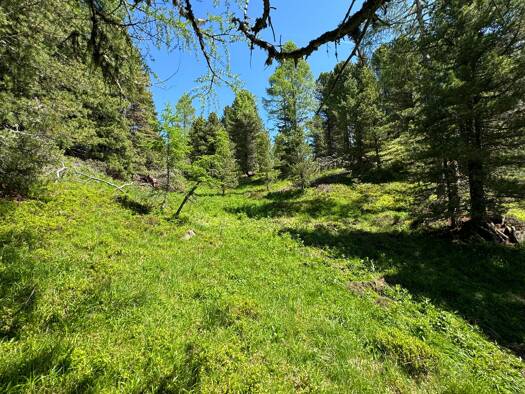 Grundstück zum Kauf 1.711 m² Grundstück Reichenau 9565