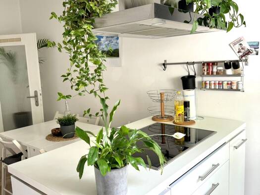 Wohnung zur Miete 730 € 2 Zimmer 60 m² Geschoss EG/3 frei ab 01.11.2026 Weststraße 87 Elberfeld Wuppertal 42119