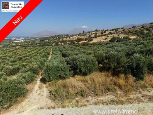 Land-/Forstwirtschaft zum Kauf 27.000 € 4.277 m² Grundstück Municipality of Festos 702 00