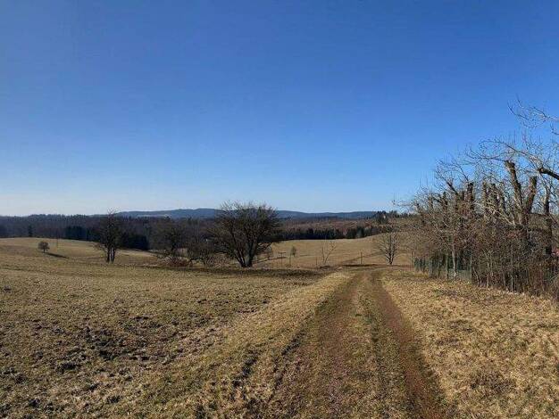 Reihenendhaus zum Kauf 298.500 € 5 Zimmer 110 m² 1.328 m² Grundstück Frauenwald Ilmenau 98694