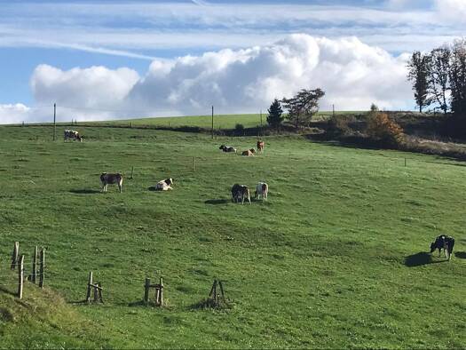 Haus zum Kauf 300.000 € 180 m² 4.300 m² Grundstück Hülscheid Schalksmühle 58579
