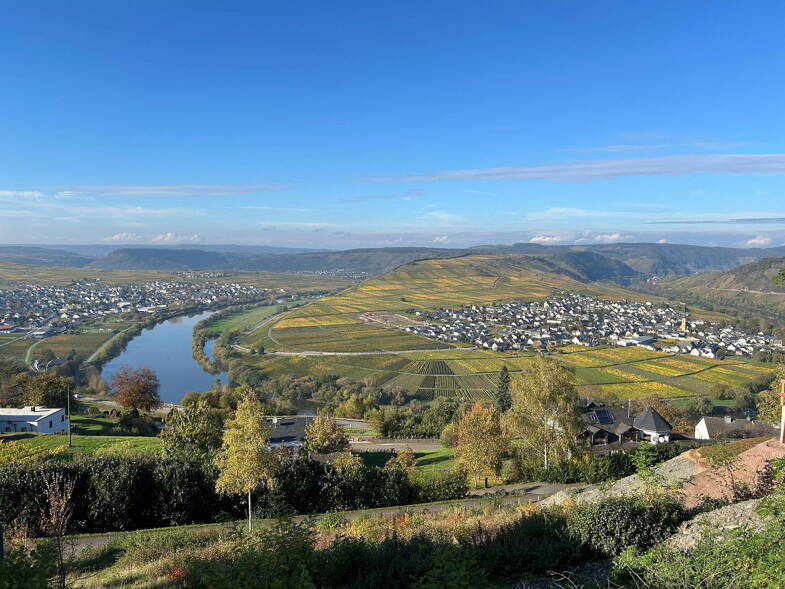 Grundstück zum Kauf provisionsfrei 1.373 m² Grundstück Käthi Reh Weg 10 Leiwen 54340
