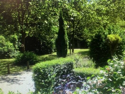 Studio zur Miete 550 € 1 Zimmer 28 m² Geschoss 1/3 frei ab 01.06.2026 Innenstadt Erlangen 91052