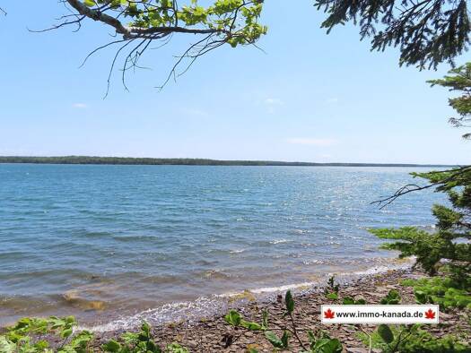 Grundstück zum Kauf 78.500 € 12.900 m² Grundstück Higway 320 Louisdale 010