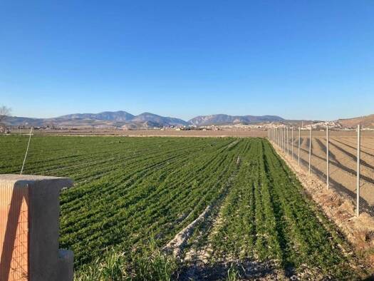 Bauernhaus zum Kauf 79.500 € 1 Zimmer 5.308 m² CARRETERA DE FUENTE VAQUEROS A ATARFE Pinos Puente 18240