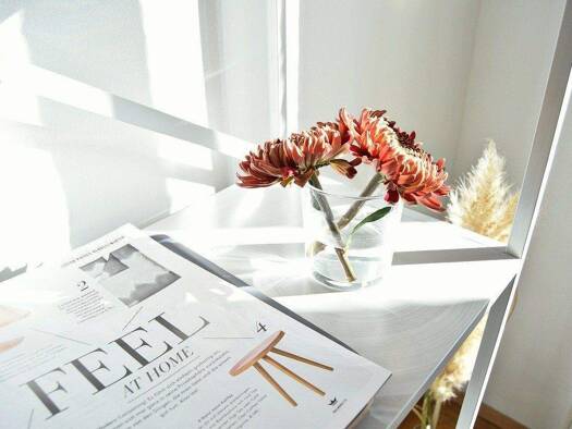 Einfamilienhaus zum Kauf 592.032 € 6 Zimmer 158 m² 485 m² Grundstück Ickern Castrop Rauxel 44577